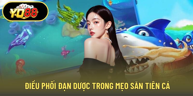 Điều phối đạn dược trong mẹo săn tiên cá