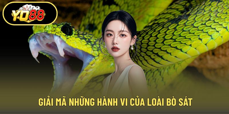 Giải mã những hành vi của loài bò sát